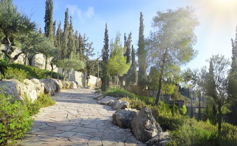 De tuin van de koning David<br>גן דוד המלך