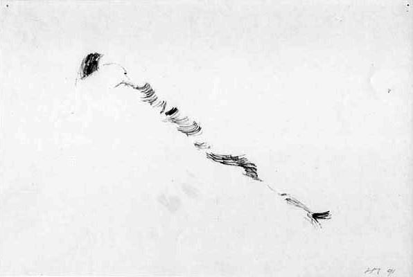 Icarus, de man die wilde vliegen